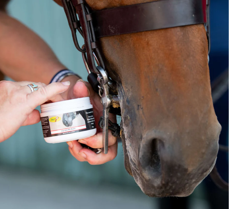 Smart Grooming - Mini Natural Care Set-2